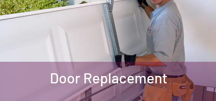  Door Replacement 