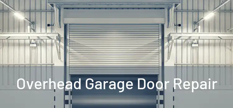  Overhead Garage Door Repair 